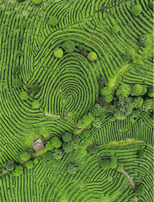 Agri·food·land use