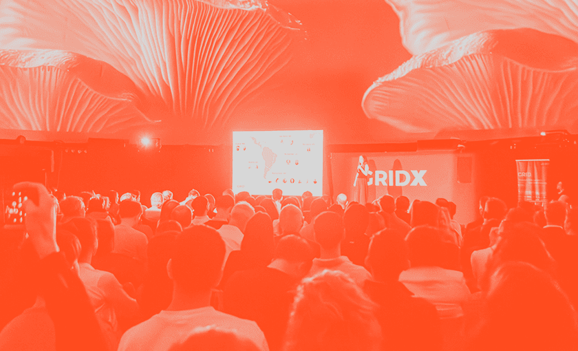 Build: 
A startup-centric approach